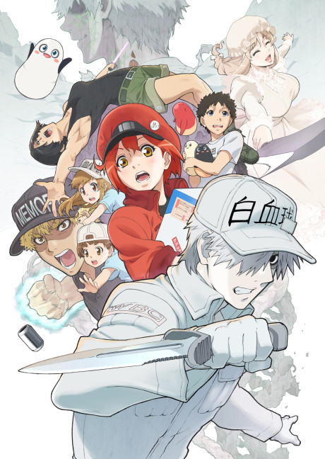 Hataraku Saibou! [Sub: Eng]
